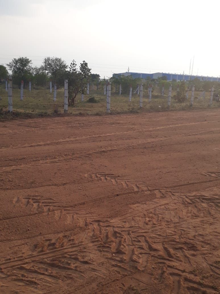 خرید زمین در زیبادشت با شرایط قسط