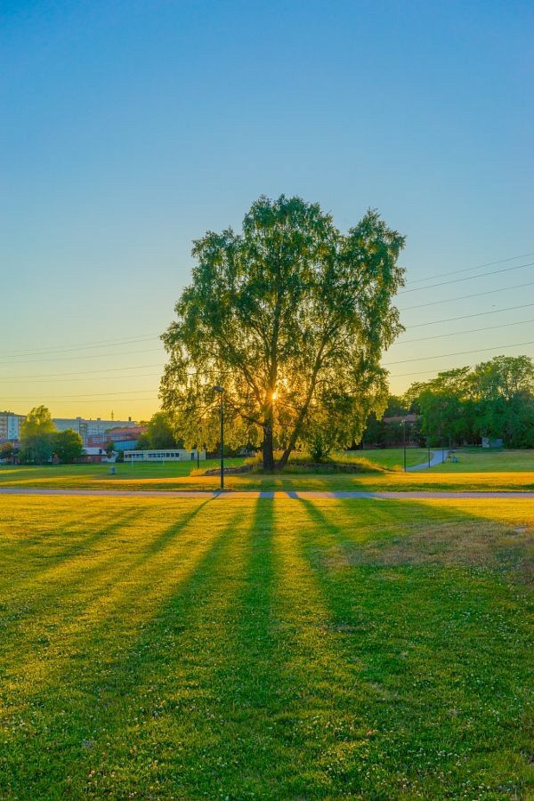 راهنمای جامع خرید زمین در تهراندشت؛ فرصتها و چالشها