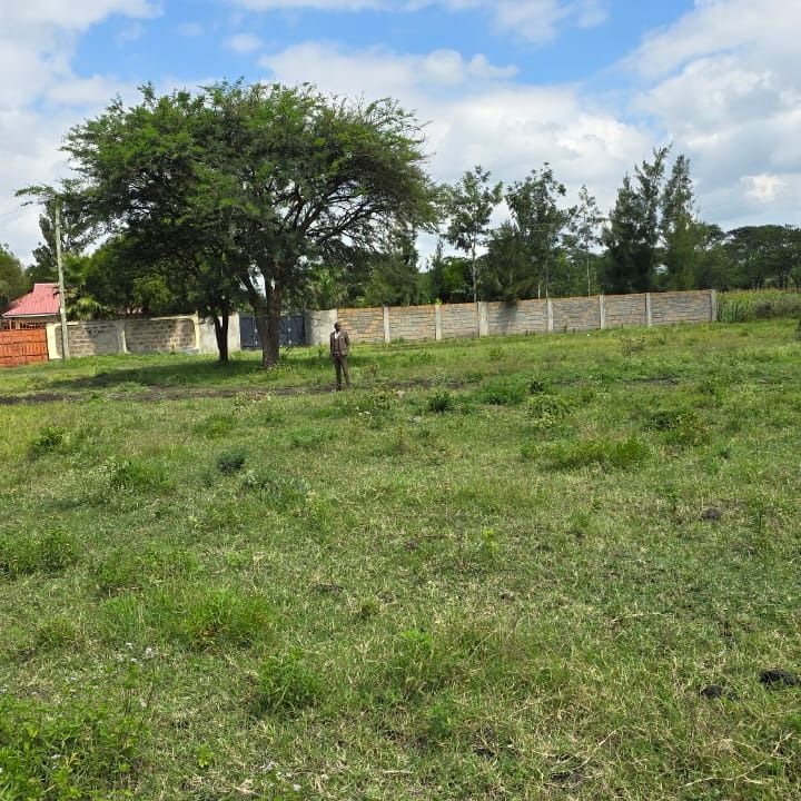 خرید زمین در زیبادشت با شرایط قسط