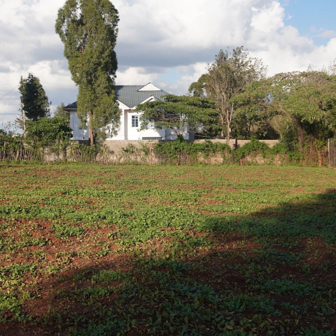 سرمایه‌گذاری مطمئن با خرید زمین در غرب تهران (بررسی مناطق + قیمت)