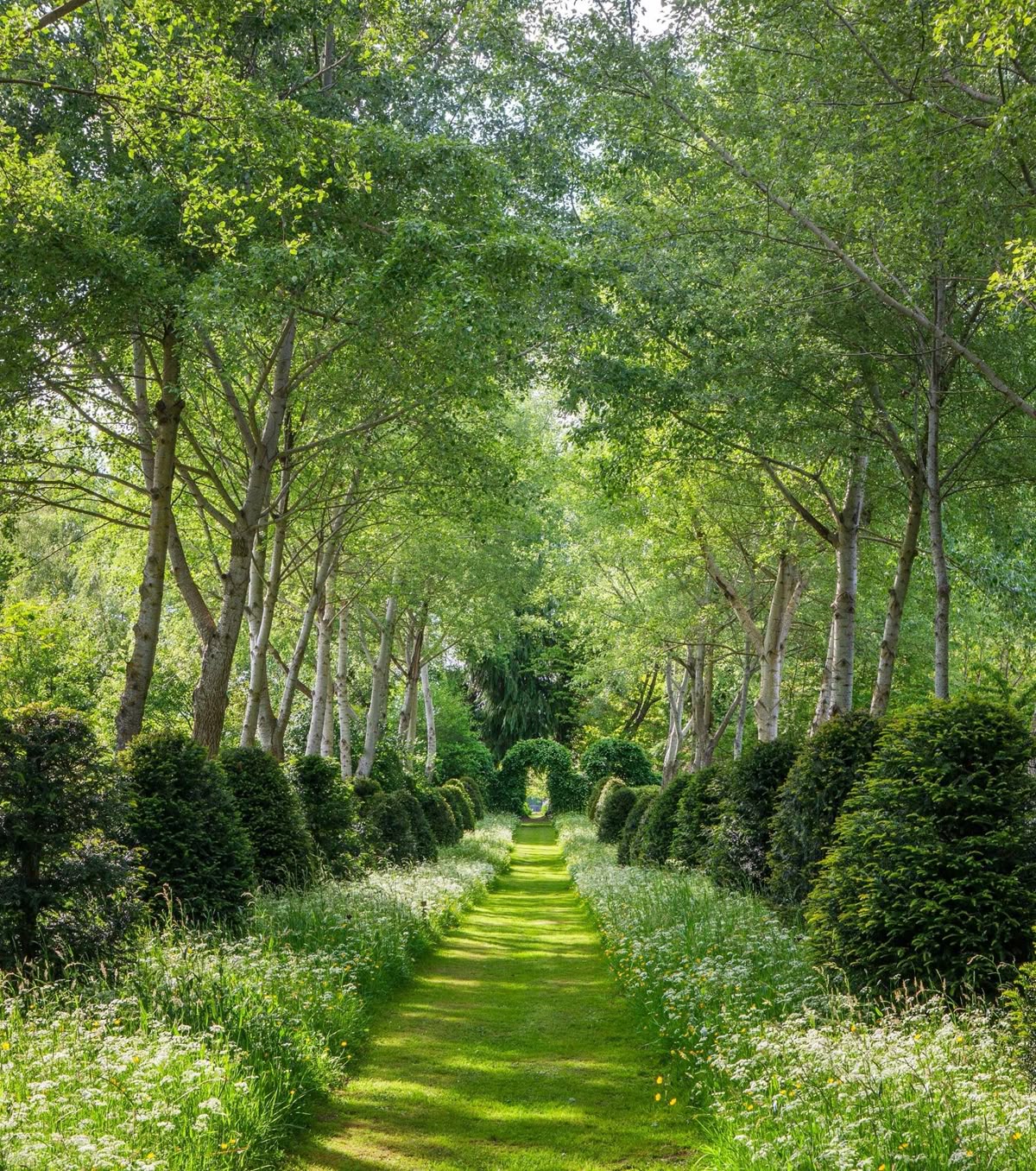 راهنمای خرید باغ در فیروزکوه: نکات ضروری