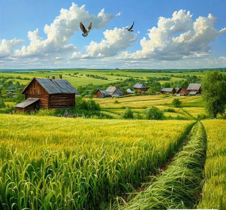 خرید زمین کشاورزی در رودسر؛ راهنمای کامل