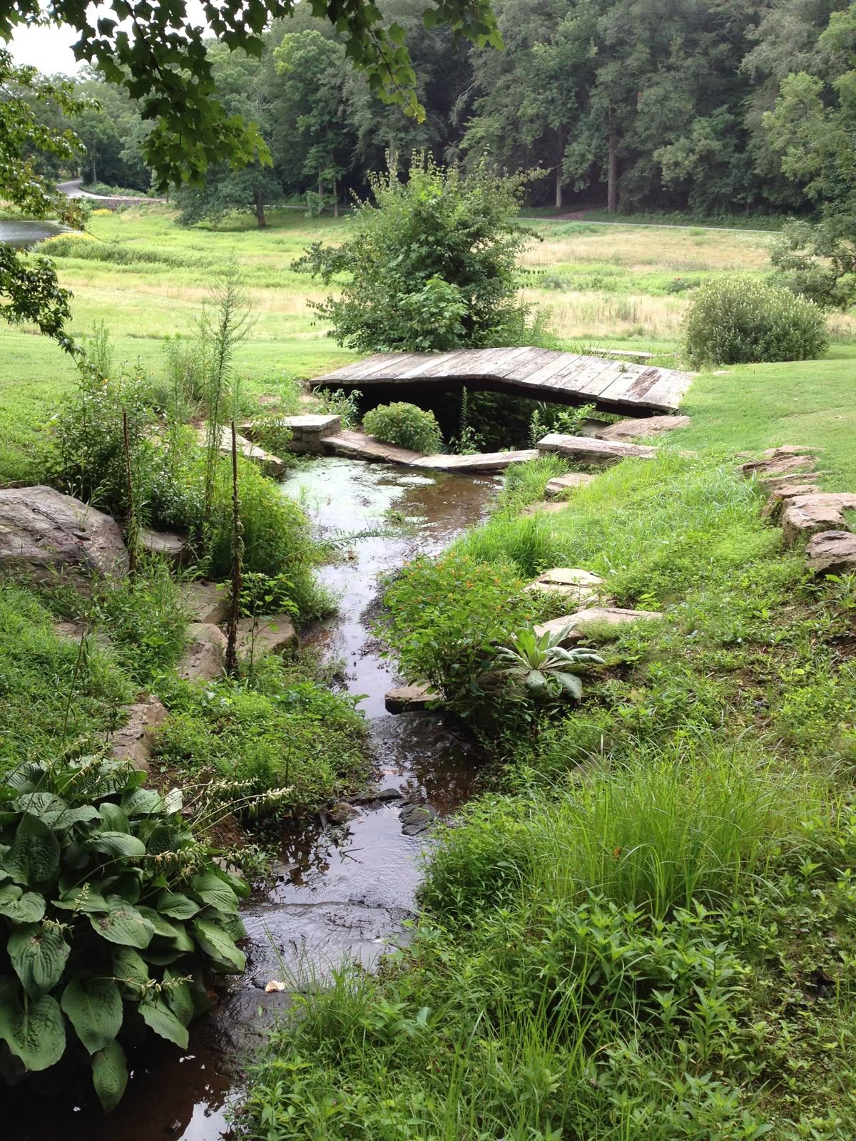 خرید باغ زرین دشت فیروزکوه با چک بدون بهره