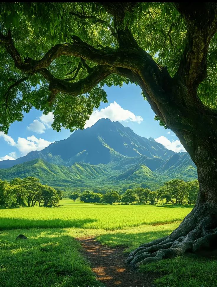 خرید زمین قسطی شمال با شرایط اقساطی