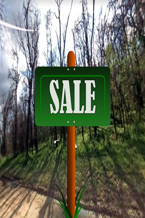 خرید زمین کلاردشت با شرایط اقساطی – راهنمای کامل سرمایه‌گذاری مطمئن