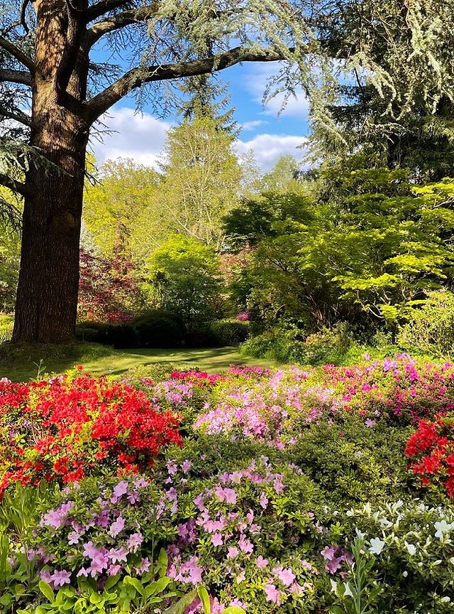 خرید باغ رامسر با شرایط اقساطی