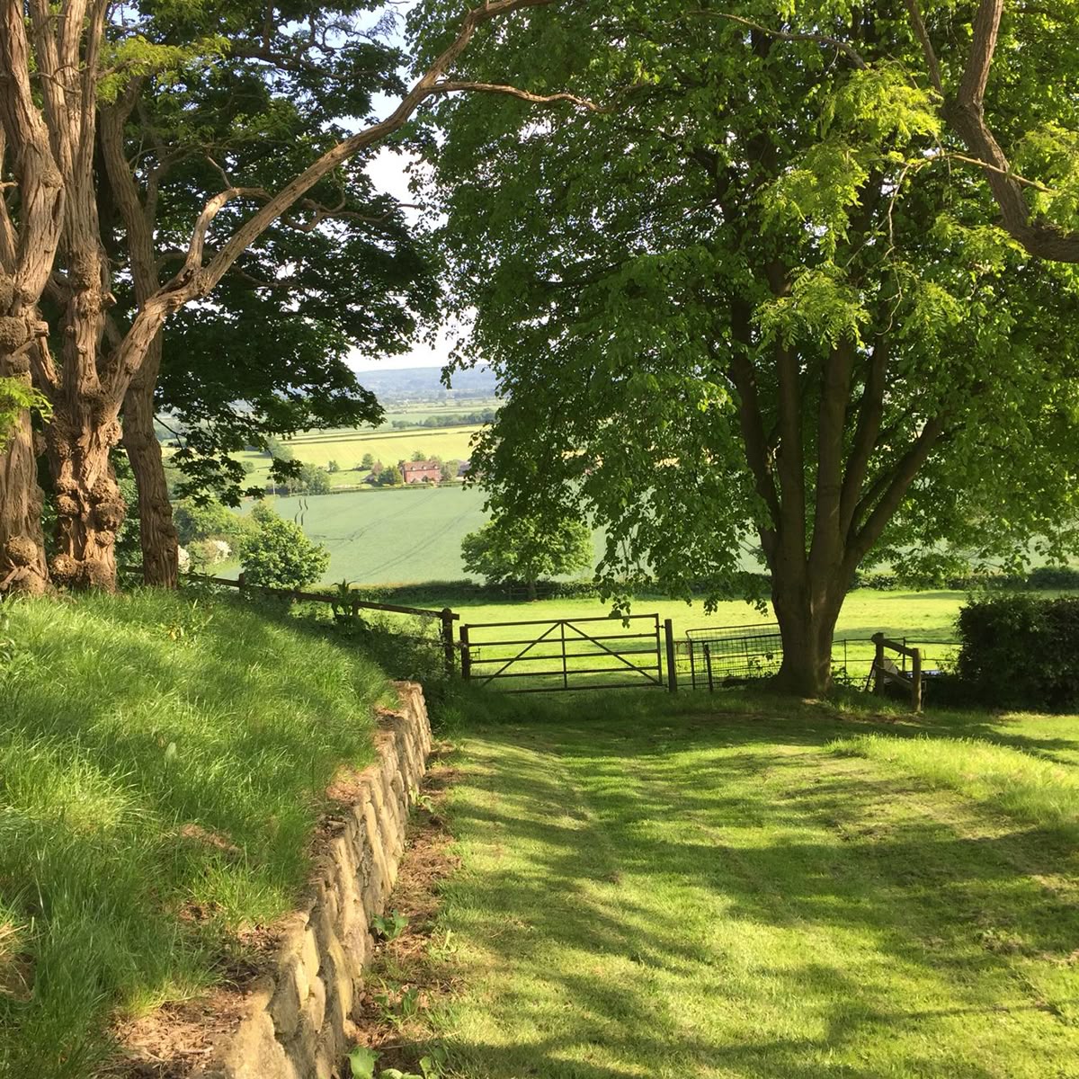 خرید باغ صفادشت با چک بدون بهره