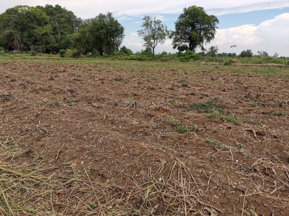 خرید زمین الهیه غرب با شرایط اقساطی