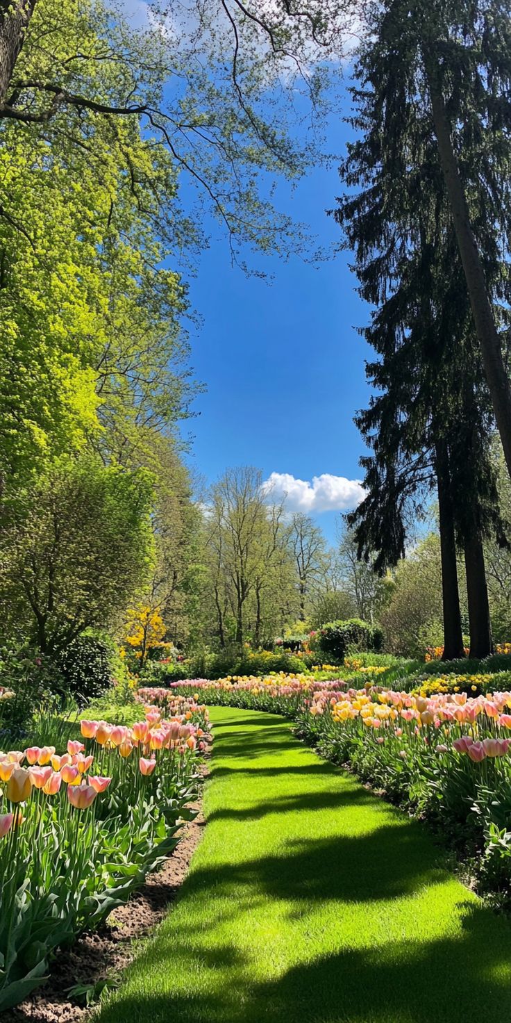 خرید باغ رامسر با شرایط اقساطی