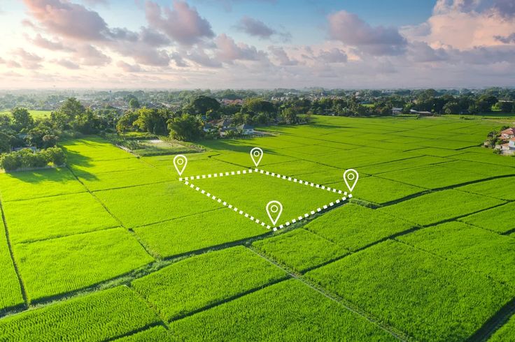 خرید زمین طاووسیه کرج با شرایط اقساطی