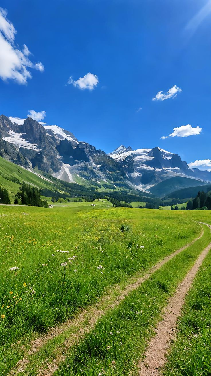 خرید باغ رامجین با شرایط اقساطی