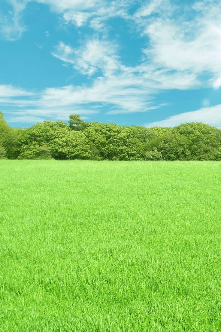 خرید زمین کلاردشت با شرایط اقساطی – راهنمای کامل سرمایه‌گذاری مطمئن