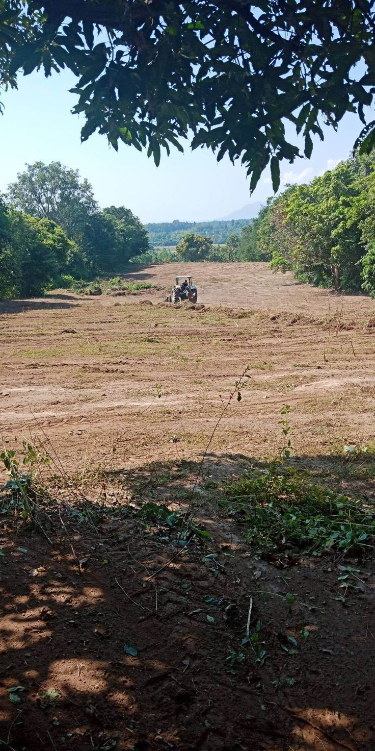 خرید زمین الهیه غرب با شرایط اقساطی