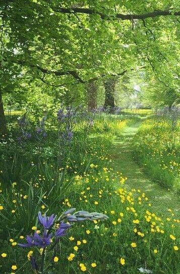 خرید باغ خوشنام با چک بدون بهره