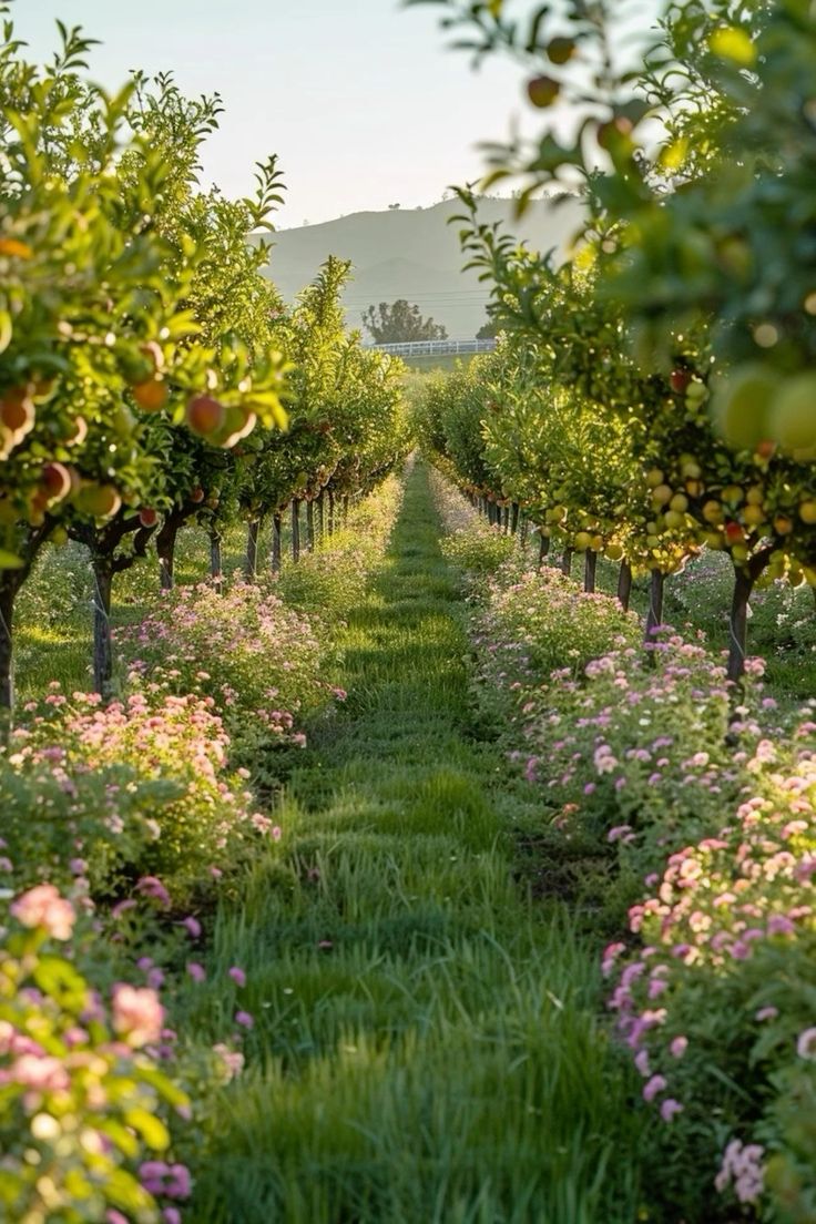 خرید باغ پاکدشت با شرایط اقساطی