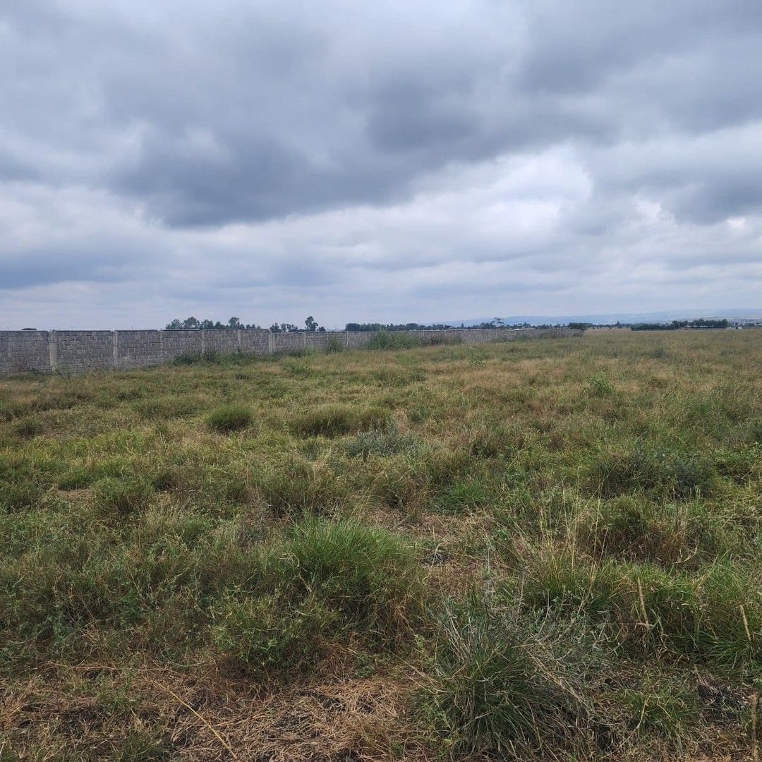 خرید زمین الهیه غرب با شرایط اقساطی