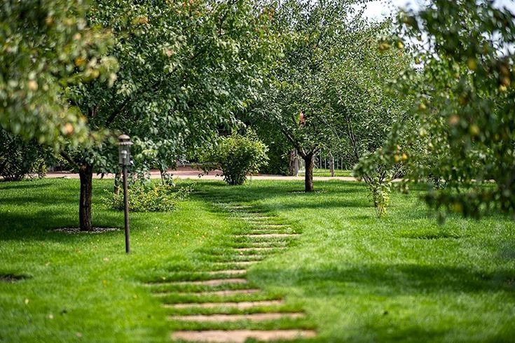 خرید باغ پاکدشت با شرایط اقساطی