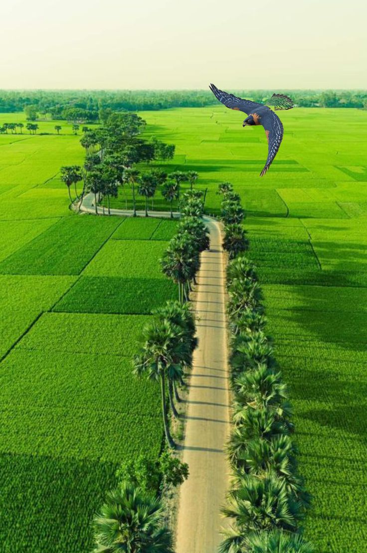 خرید زمین کلاردشت با شرایط اقساطی – راهنمای کامل سرمایه‌گذاری مطمئن