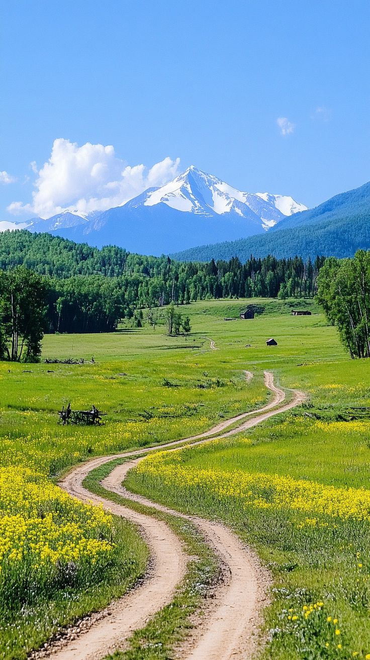 خرید باغ زرندیه با شرایط اقساطی