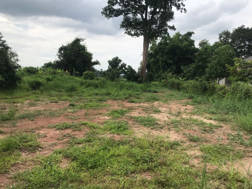 خرید زمین الهیه غرب با شرایط اقساطی