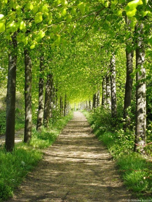 خرید باغ رودهن با شرایط اقساطی